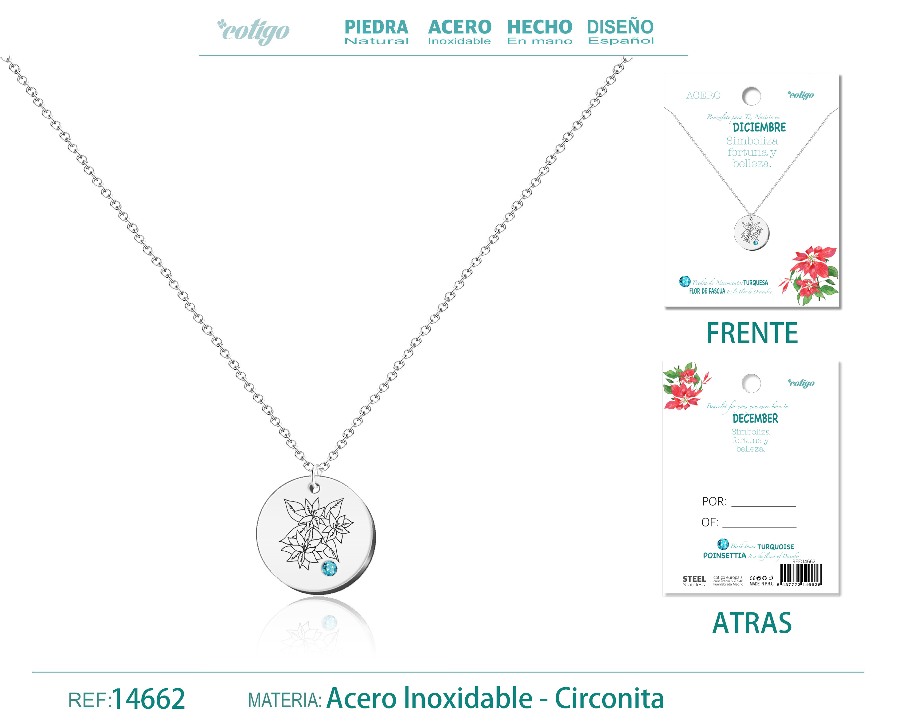 Collar Acero para Nacimiento de Diciembre Plateado