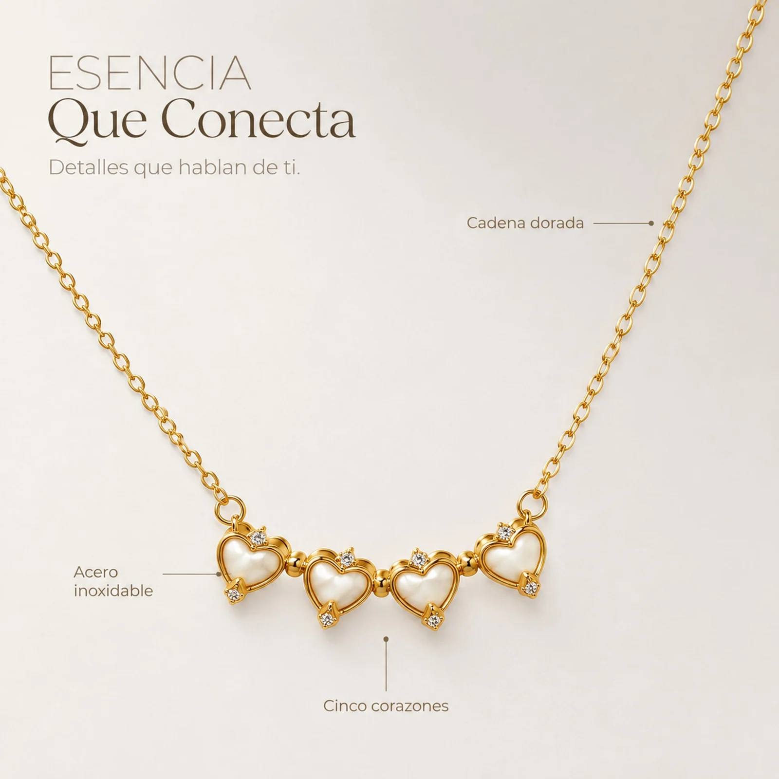 Collar Acero Inoxidable